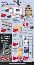 Sonderpreis Baumarkt Prospekt woche 31 Seite 6