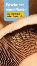 REWE Prospekt woche 31 Seite 21