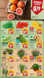 REWE Prospekt woche 31 Seite 7