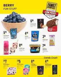 Freson Bros flyer Page 9