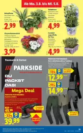 Lidl Flugblatt woche 31 Seite 30