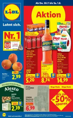 Lidl (gültig bis 6-08)
