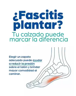 Doctor Pie (válido hasta 1-08)