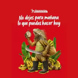 Catálogo Farmacias Económicas semana 31 Página 3