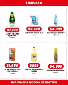 Catálogo Autoservicio Capo Página 13