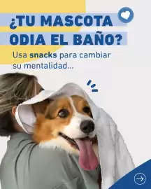 Catálogo Puppis semana 31 Página 1