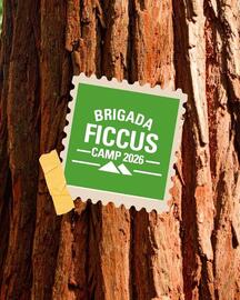 Catálogo Ficcus semana 31 Página 2