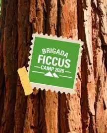Catálogo Ficcus semana 31 Página 2
