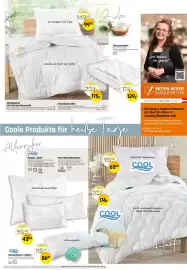 Reiter Flugblatt Seite 5
