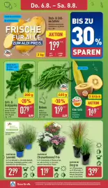 Aldi Nord Prospekt woche 32 Seite 26