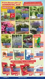 CENTERSHOP Prospekt woche 31 Seite 4