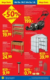 Lidl Flugblatt woche 31 Seite 20