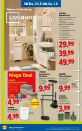 Lidl Flugblatt woche 31 Seite 22