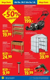 Lidl Flugblatt woche 31 Seite 20