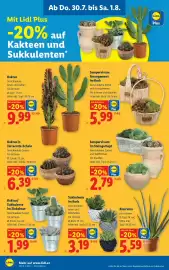 Lidl Flugblatt woche 31 Seite 26
