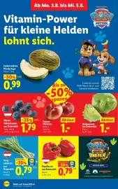 Lidl Flugblatt woche 31 Seite 39