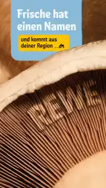 REWE DE tilbudsavis uge 31 Side 28