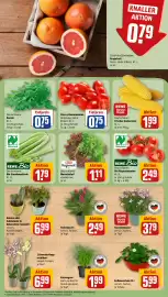 REWE DE tilbudsavis uge 31 Side 5