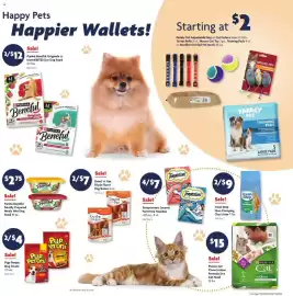 Family Dollar weekly ad week 31 Page 13