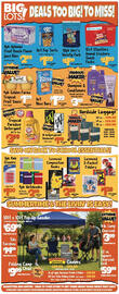 Big Lots weekly ad Page 2