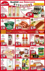 Norma Prospekt woche 32 Seite 11