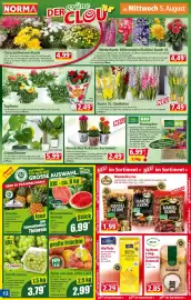 Norma Prospekt woche 32 Seite 12