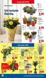 Volantino Lidl settimana 31 Pagina 30