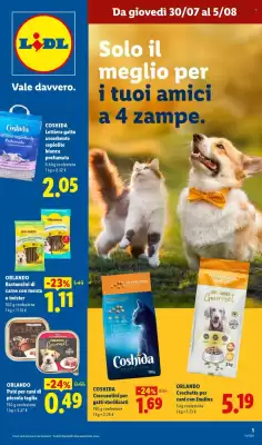 Lidl (valido fino al 5-08)