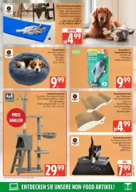 Marktkauf Prospekt Seite 29