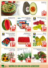 Marktkauf Prospekt Seite 6