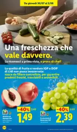Volantino Lidl settimana 31 Pagina 4