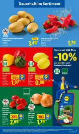Lidl Prospekt woche 32 Seite 3