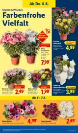 Lidl Prospekt woche 32 Seite 7