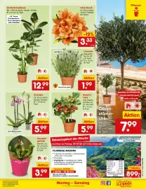 Netto Marken-Discount DE folder week 31 Pagina 51
