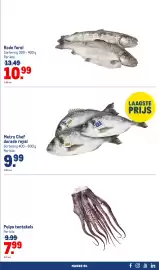 Makro folder | Food Pagina 21