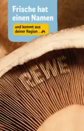 REWE Center Prospekt woche 31 Seite 19