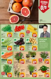 REWE Center Prospekt woche 31 Seite 7