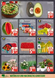Edeka24 Prospekt woche 31 Seite 6