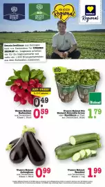 Scheck-in-Center Prospekt woche 31 Seite 22