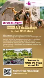 Scheck-in-Center Prospekt woche 31 Seite 67