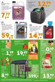 Globus Baumarkt Prospekt woche 31 Seite 11
