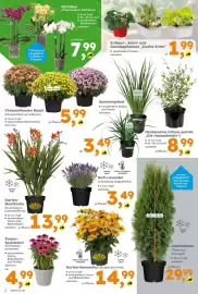 Globus Baumarkt Prospekt woche 31 Seite 2