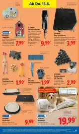 Lidl Prospekt woche 33 Seite 25