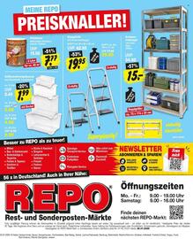 Repo Markt Prospekt woche 31 Seite 16