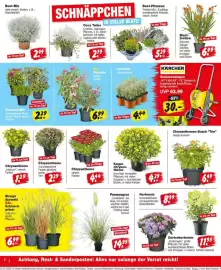 Repo Markt Prospekt woche 31 Seite 2