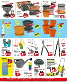 Repo Markt Prospekt woche 31 Seite 6