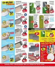 Repo Markt Prospekt woche 31 Seite 8