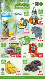 Wasgau Prospekt woche 31 Seite 8