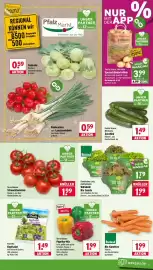 Wasgau Prospekt woche 31 Seite 9