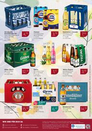 Dornseifer Prospekt woche 31 Seite 16